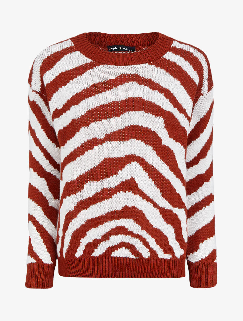 Pull à col rond et imprimé zèbre - Rouille - 3