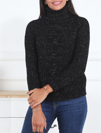 Pull irisé droit à col roulé - Noir - 4
